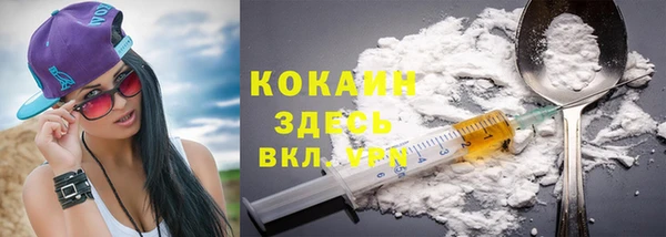 шишки Аркадак