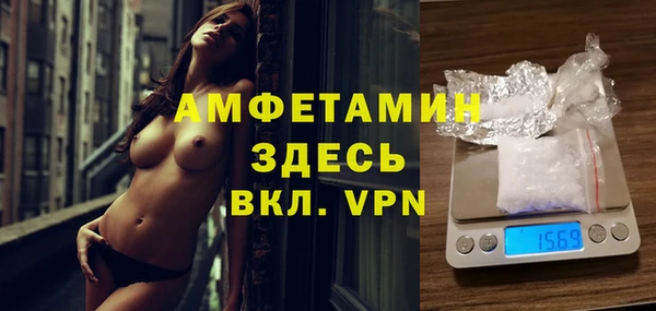 шишки Аркадак
