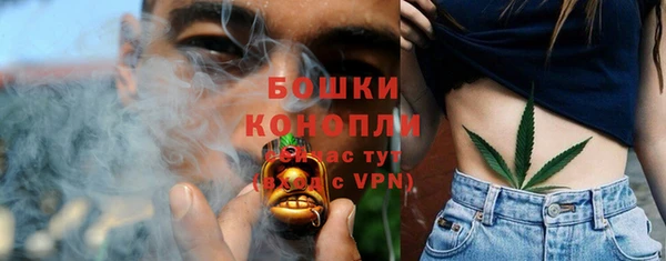 шишки Аркадак