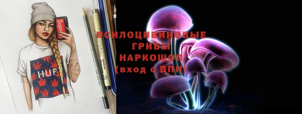шишки Аркадак