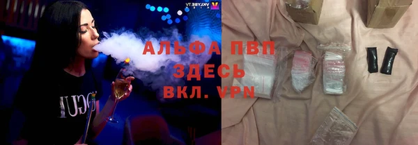 шишки Аркадак