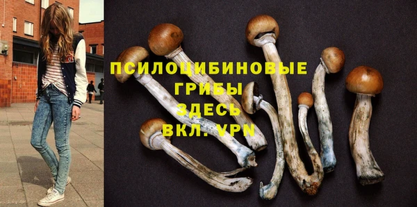 шишки Аркадак