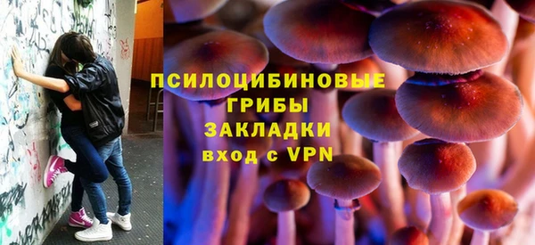 шишки Аркадак