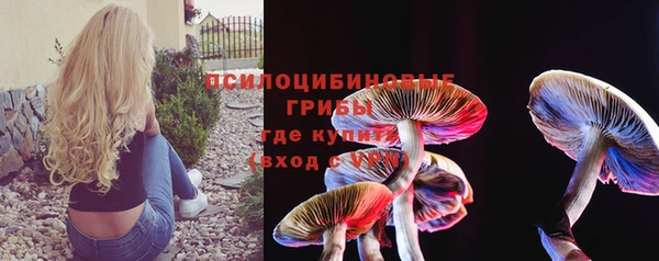 мяу мяу мука Арсеньев