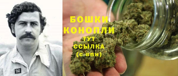 шишки Аркадак