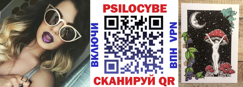 Псилоцибиновые грибы Psilocybe  Миньяр 